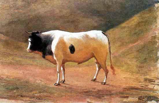 Benedito Calixto Ox grazing Spain oil painting art